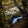 Duck River Falls