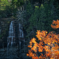 Falls in the Fall